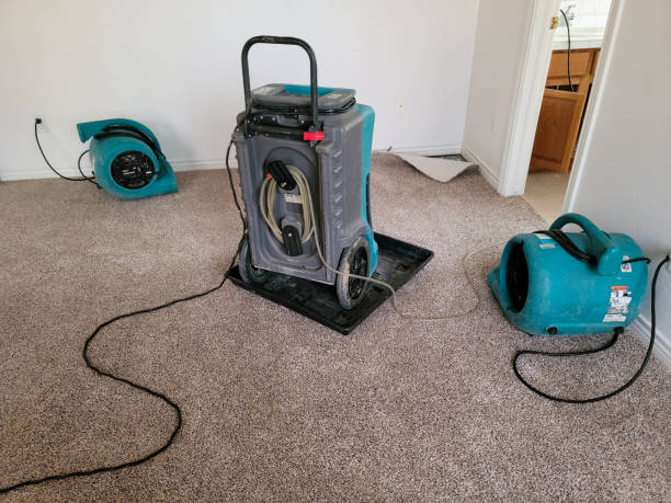  Dooms, VA Water damage restoration Pros