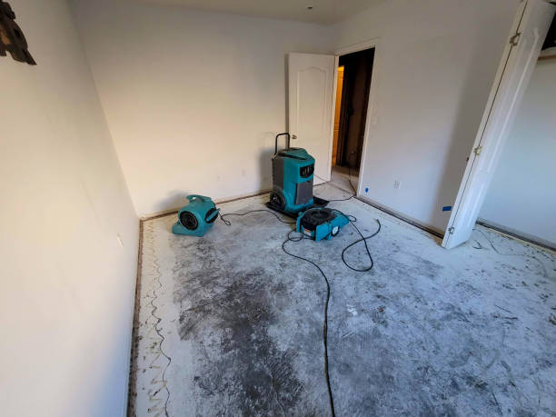 Best Local water damage restoration  in Dooms, VA