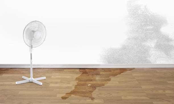Best Water damage restoration specialists  in Dooms, VA