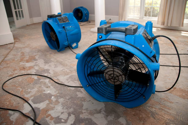 Best Commercial water damage restoration  in Dooms, VA