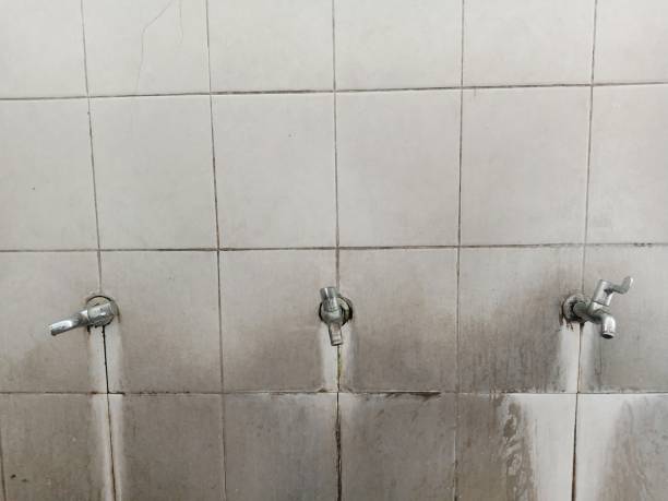 Best Water damage restoration mold remediation  in Dooms, VA