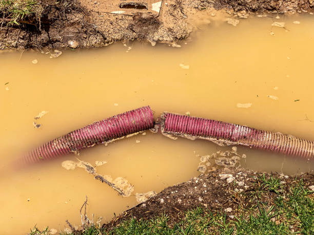 Best Basement water damage restoration  in Dooms, VA