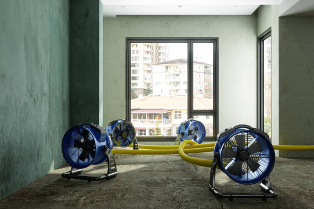 Trusted Dooms, VA Water damage restoration Experts