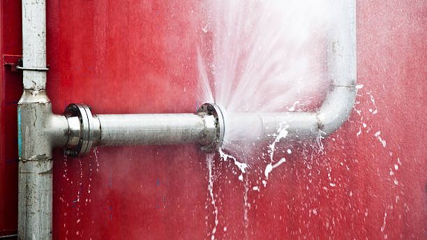 Best Flood damage cleanup  in Dooms, VA
